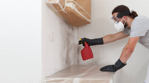 Professional Mold Remediation technician working in Holtsville, NY